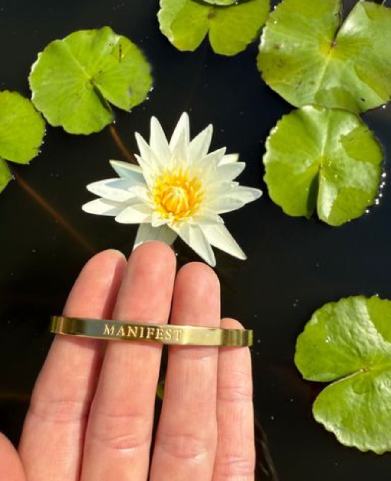 Captiva Manifest Armlænke