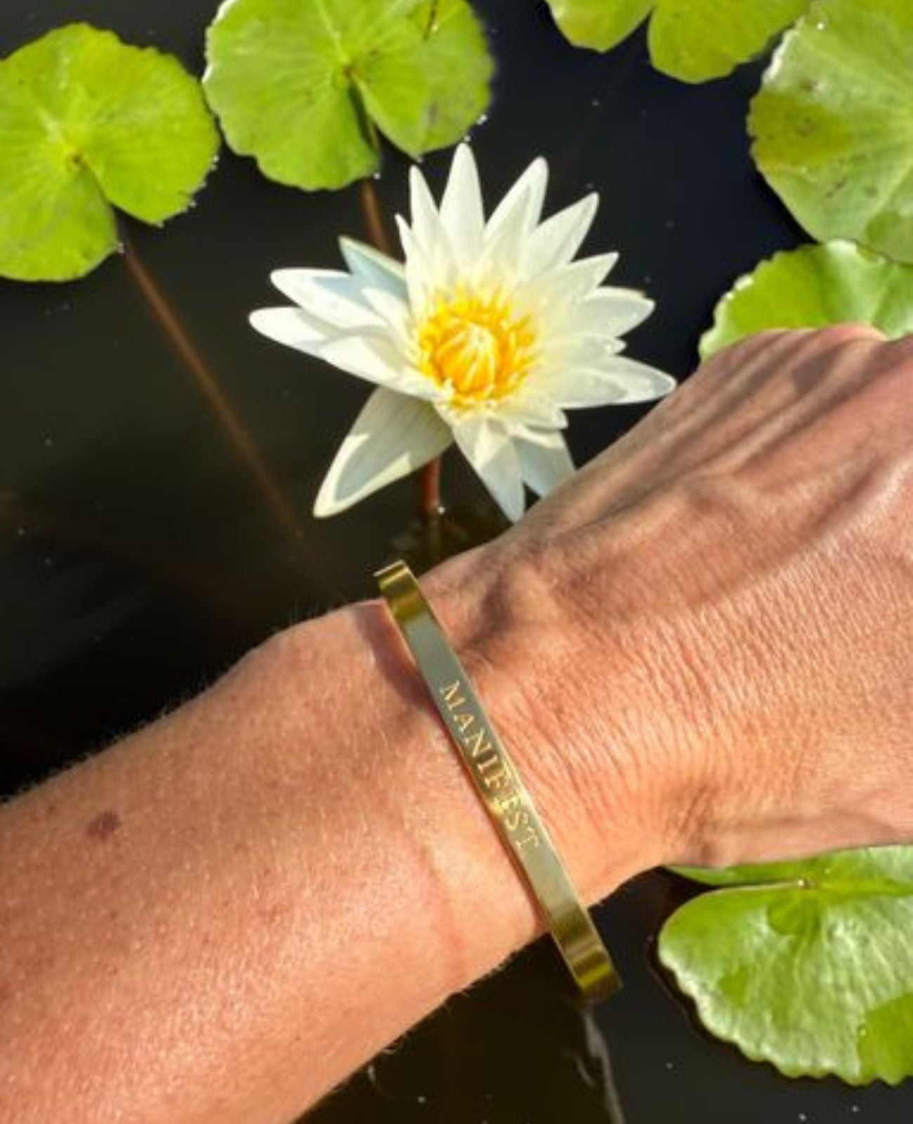 Captiva Manifest Armlænke